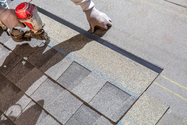 Best Roof Repair Services  in Pascagoula, MS