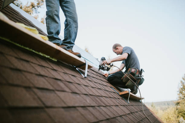 Best Roof Leak Repair  in Pascagoula, MS